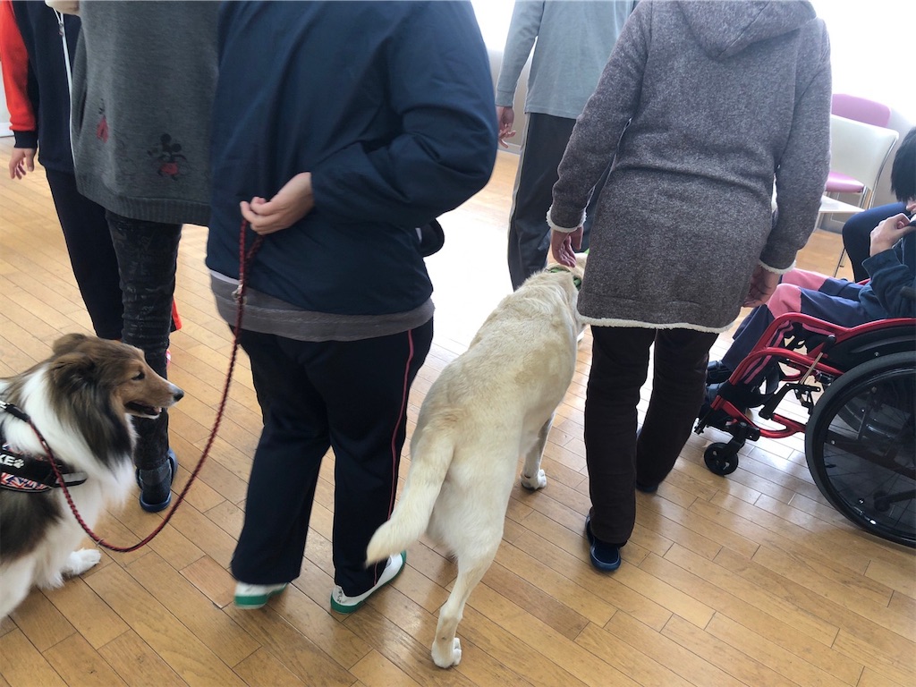f:id:sakaivet2019:20211128195113j:image f:id:sakaivet2019:20211128195113j:image