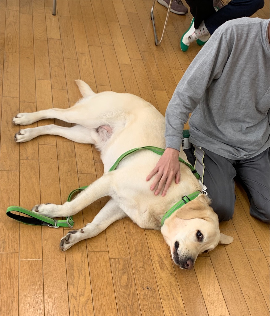 f:id:sakaivet2019:20211128195117j:image f:id:sakaivet2019:20211128195117j:image