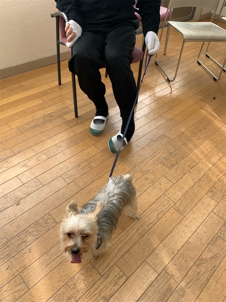 f:id:sakaivet2019:20211128195121j:image f:id:sakaivet2019:20211128195121j:image