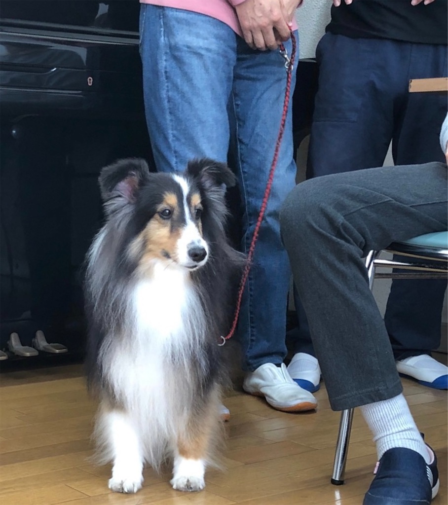 f:id:sakaivet2019:20211128195547j:image f:id:sakaivet2019:20211128195547j:image