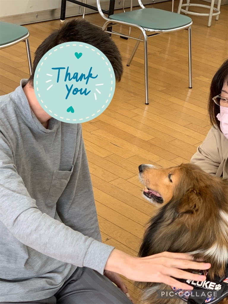 f:id:sakaivet2019:20211128195549j:image f:id:sakaivet2019:20211128195549j:image
