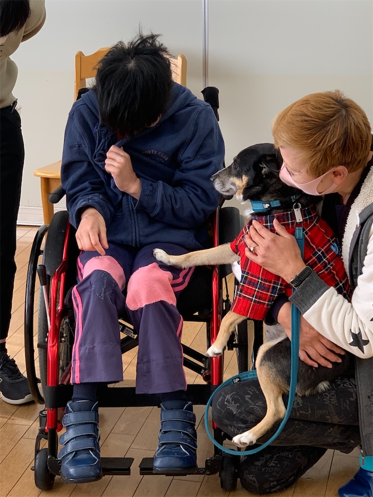 f:id:sakaivet2019:20211128195552j:image f:id:sakaivet2019:20211128195552j:image