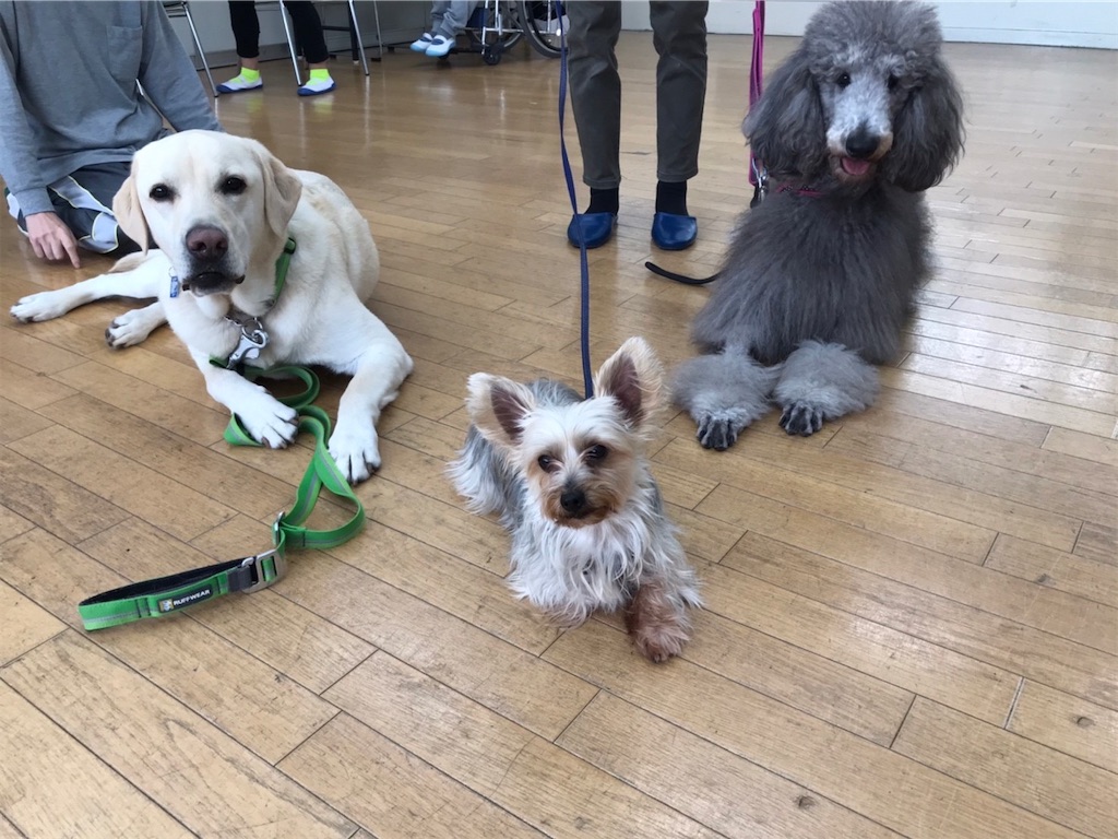 f:id:sakaivet2019:20211128195656j:image f:id:sakaivet2019:20211128195656j:image