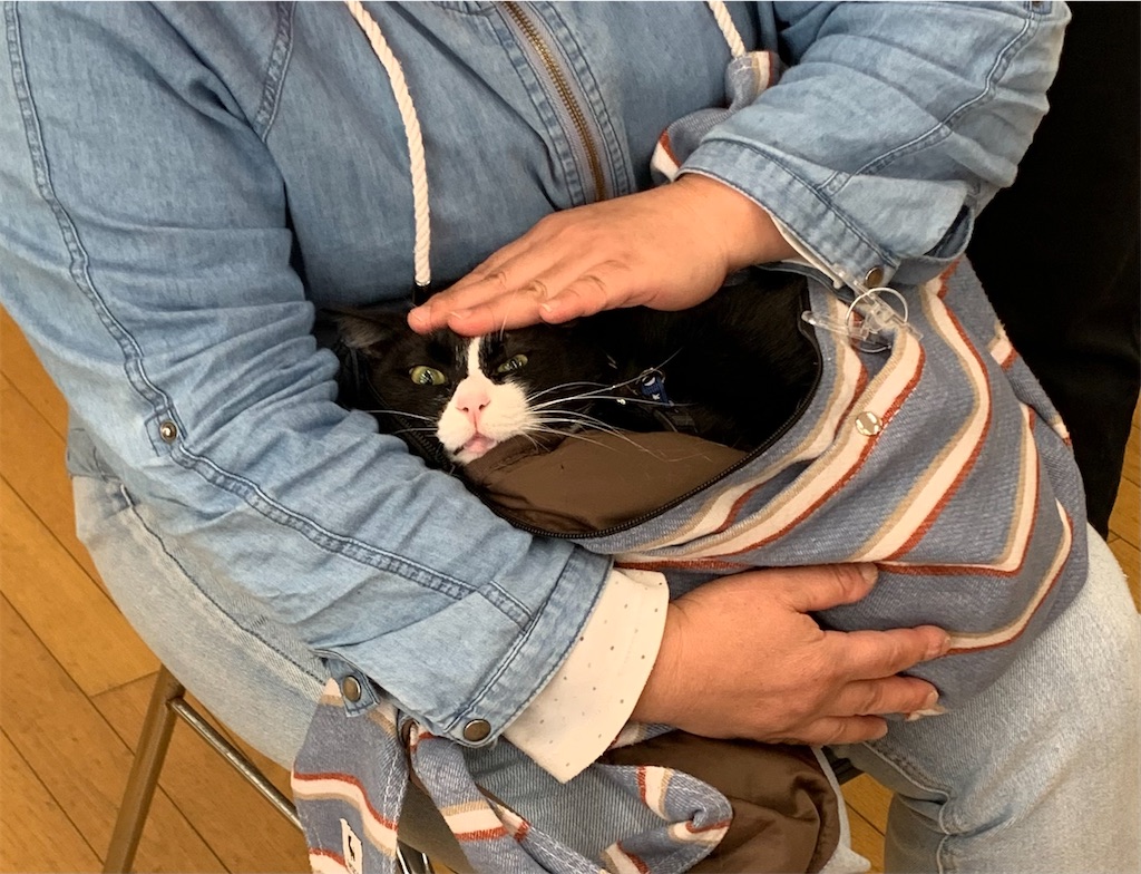 f:id:sakaivet2019:20211128195807j:image f:id:sakaivet2019:20211128195807j:image