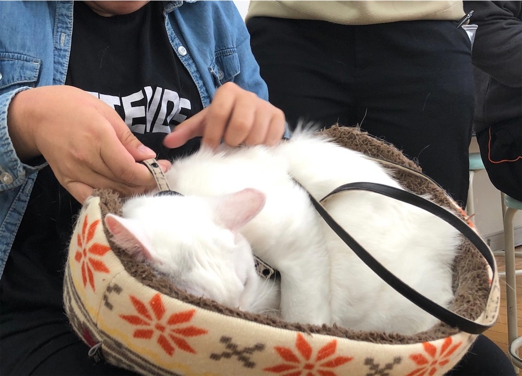 f:id:sakaivet2019:20211128195810j:image f:id:sakaivet2019:20211128195810j:image
