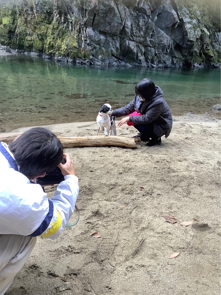 f:id:sakaivet2019:20211204212643j:image f:id:sakaivet2019:20211204212643j:image