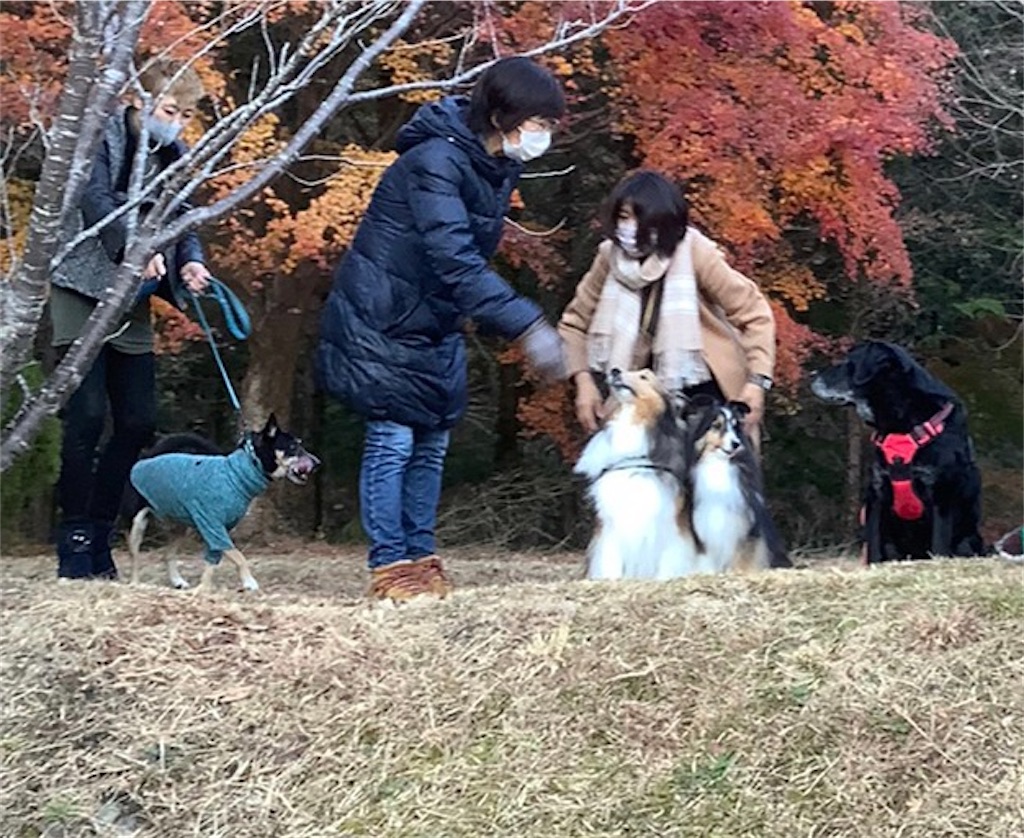 f:id:sakaivet2019:20211204212901j:image f:id:sakaivet2019:20211204212901j:image