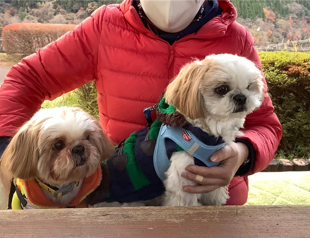 f:id:sakaivet2019:20211204212904j:image f:id:sakaivet2019:20211204212904j:image