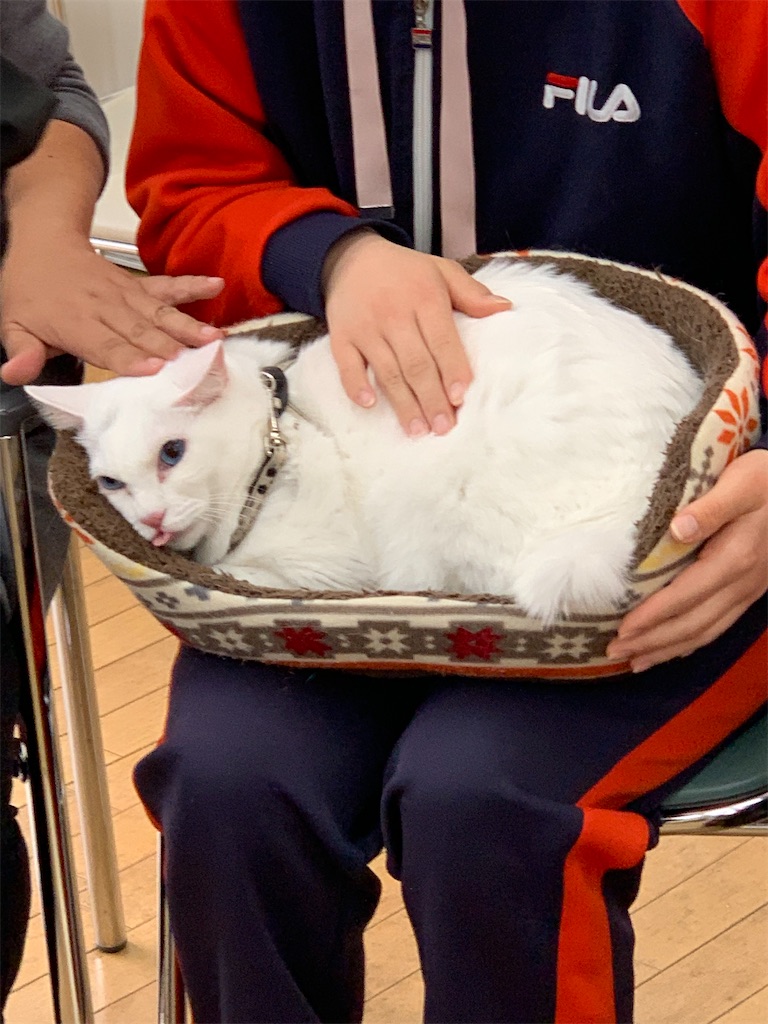 f:id:sakaivet2019:20211221105658j:image f:id:sakaivet2019:20211221105658j:image