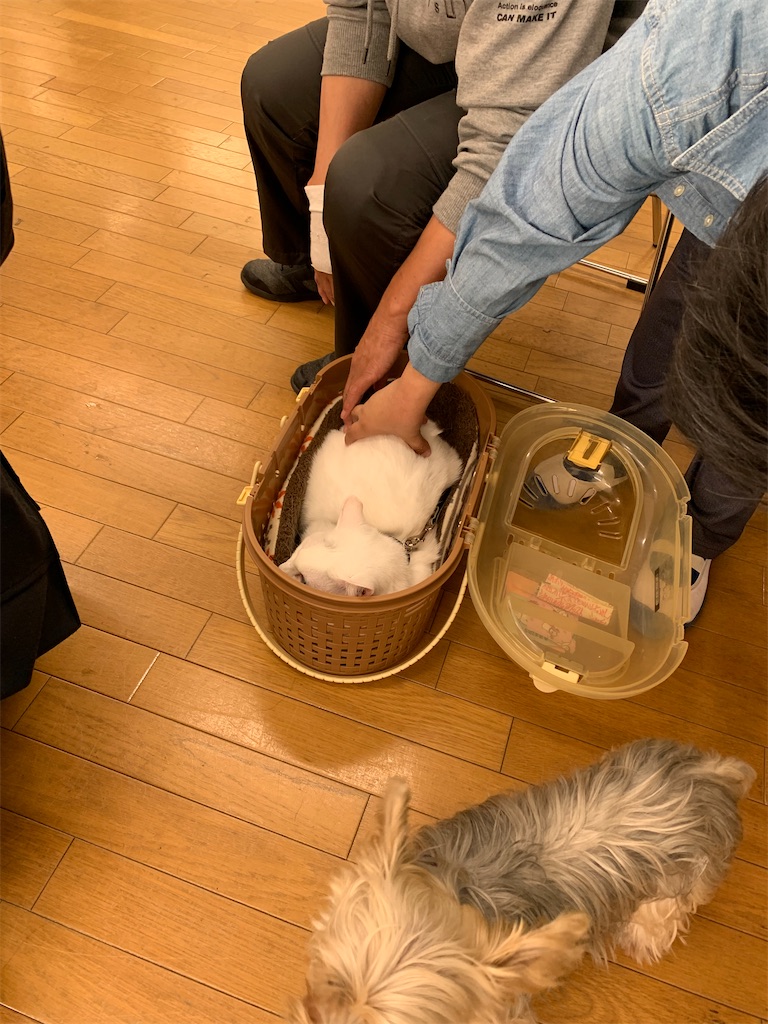 f:id:sakaivet2019:20211221105706j:image f:id:sakaivet2019:20211221105706j:image