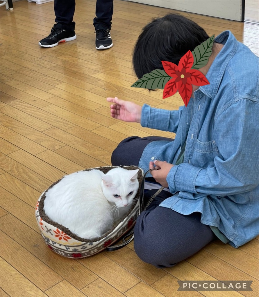f:id:sakaivet2019:20211221105709j:image f:id:sakaivet2019:20211221105709j:image
