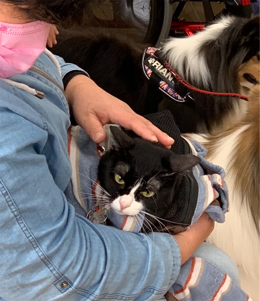 f:id:sakaivet2019:20211221105756j:image f:id:sakaivet2019:20211221105756j:image