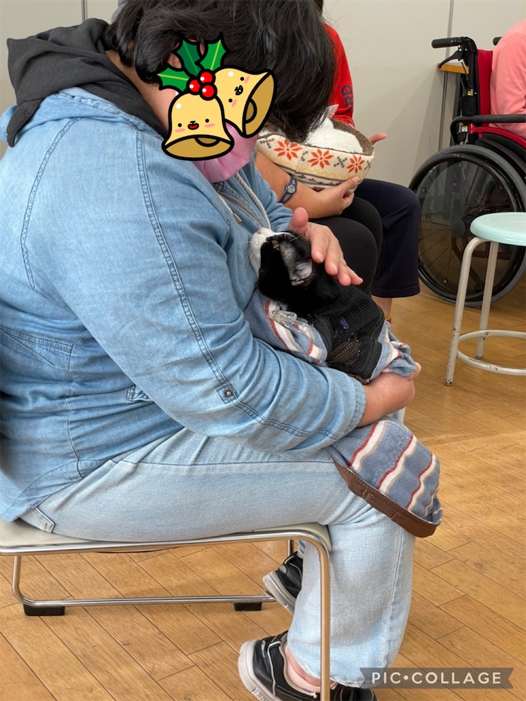 f:id:sakaivet2019:20211221110049j:image f:id:sakaivet2019:20211221110049j:image