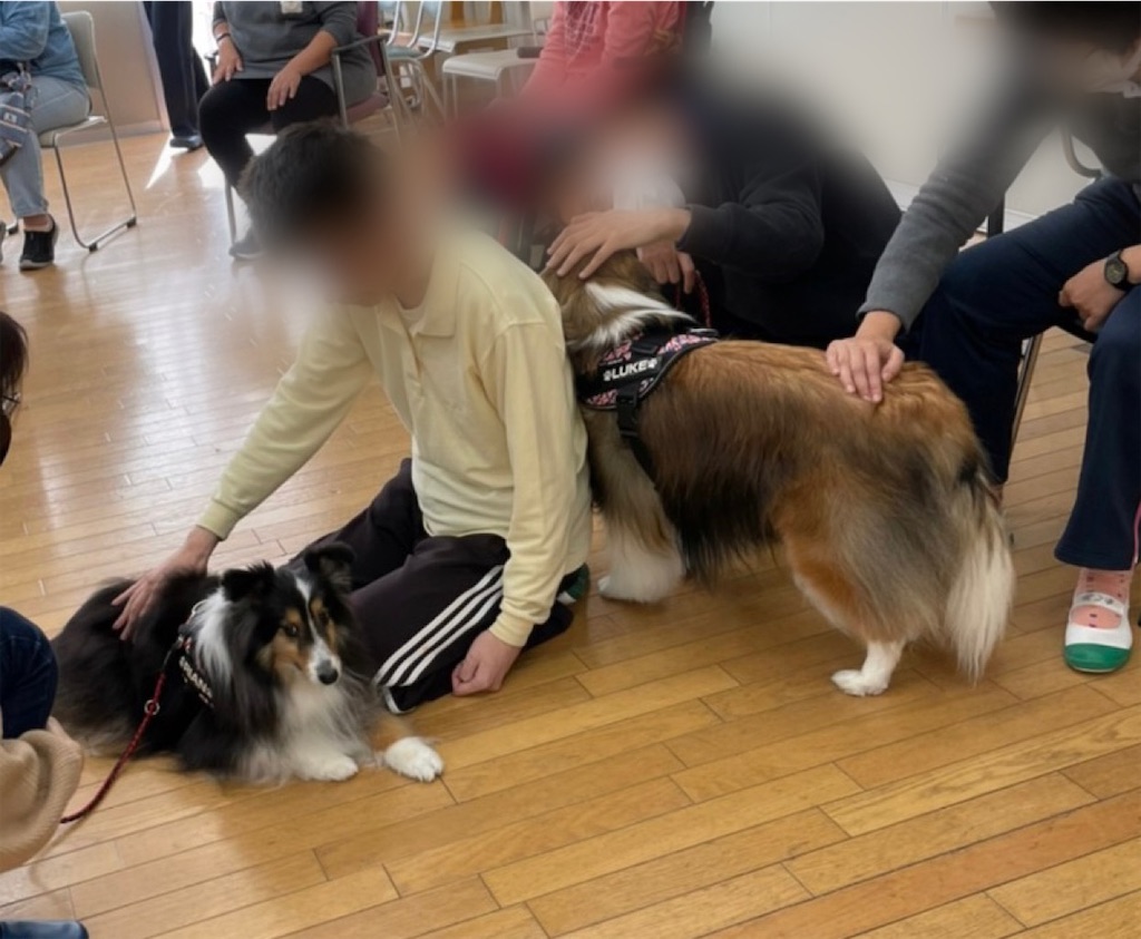 f:id:sakaivet2019:20211221110246j:image f:id:sakaivet2019:20211221110246j:image