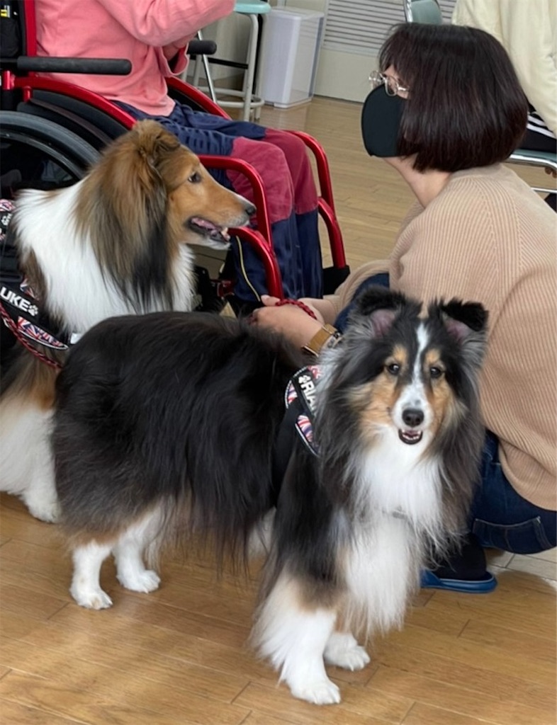 f:id:sakaivet2019:20211221110249j:image f:id:sakaivet2019:20211221110249j:image