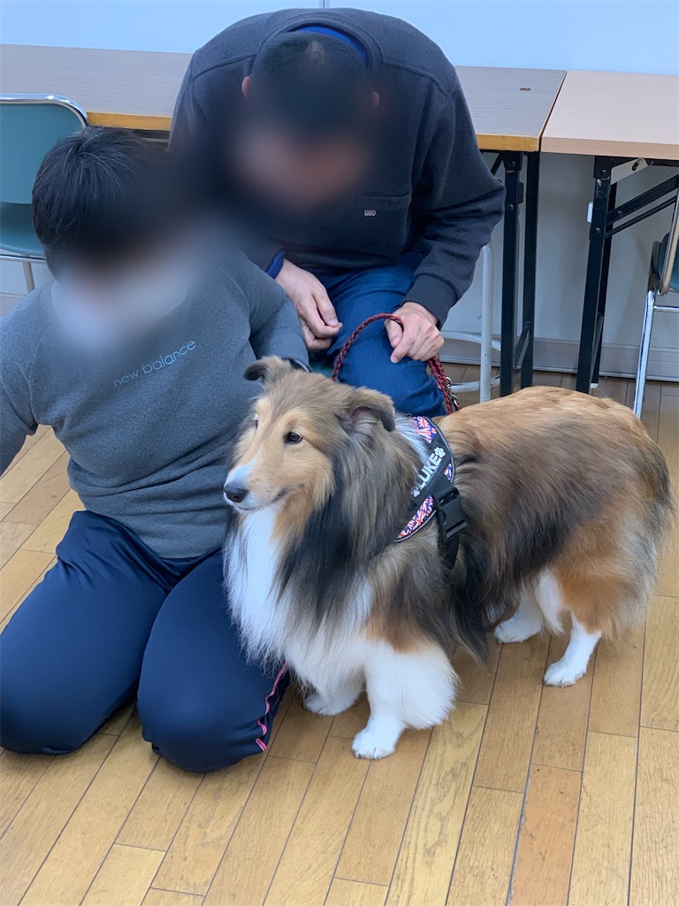 f:id:sakaivet2019:20211221110251j:image f:id:sakaivet2019:20211221110251j:image