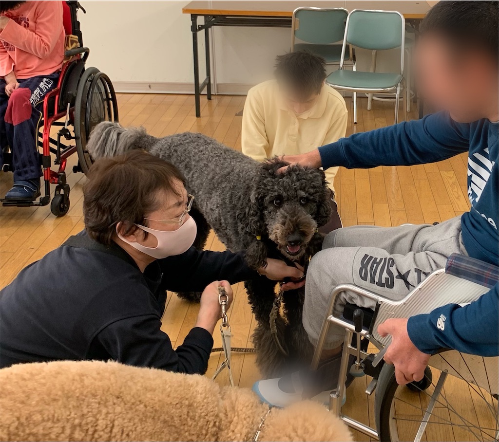 f:id:sakaivet2019:20211221110359j:image f:id:sakaivet2019:20211221110359j:image