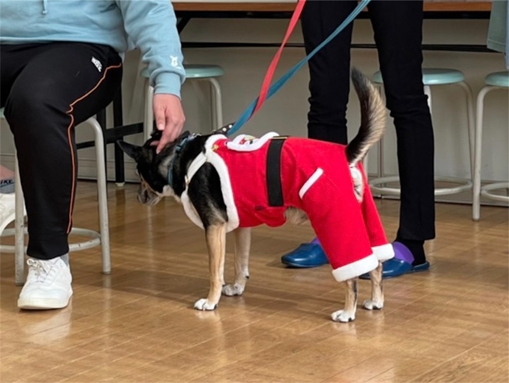 f:id:sakaivet2019:20211221110401j:image f:id:sakaivet2019:20211221110401j:image