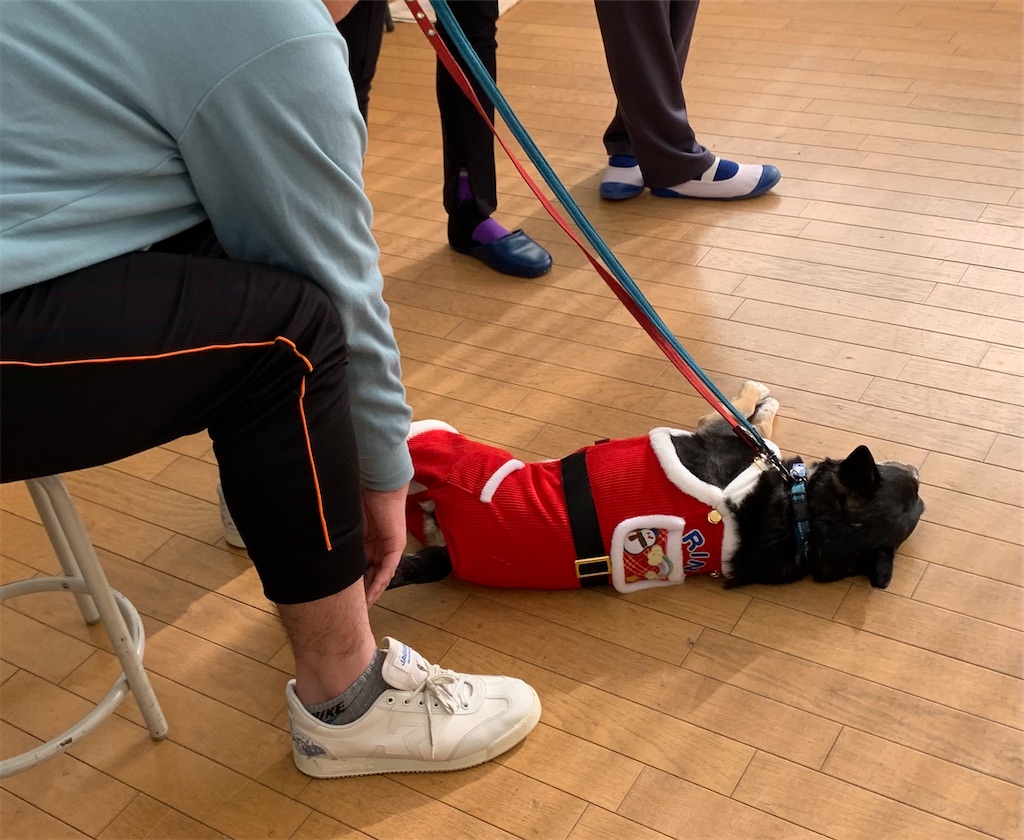 f:id:sakaivet2019:20211221110409j:image f:id:sakaivet2019:20211221110409j:image