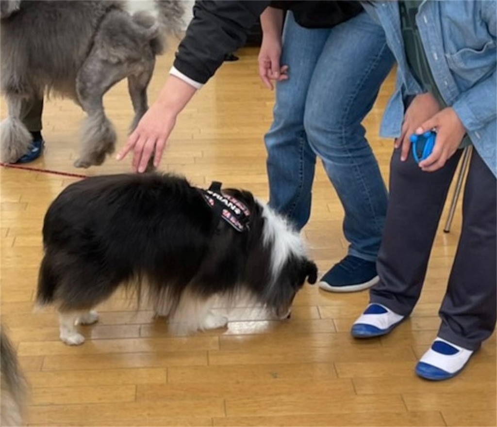 f:id:sakaivet2019:20211221114726j:image f:id:sakaivet2019:20211221114726j:image