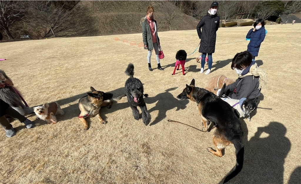 f:id:sakaivet2019:20220121133427j:image f:id:sakaivet2019:20220121133427j:image