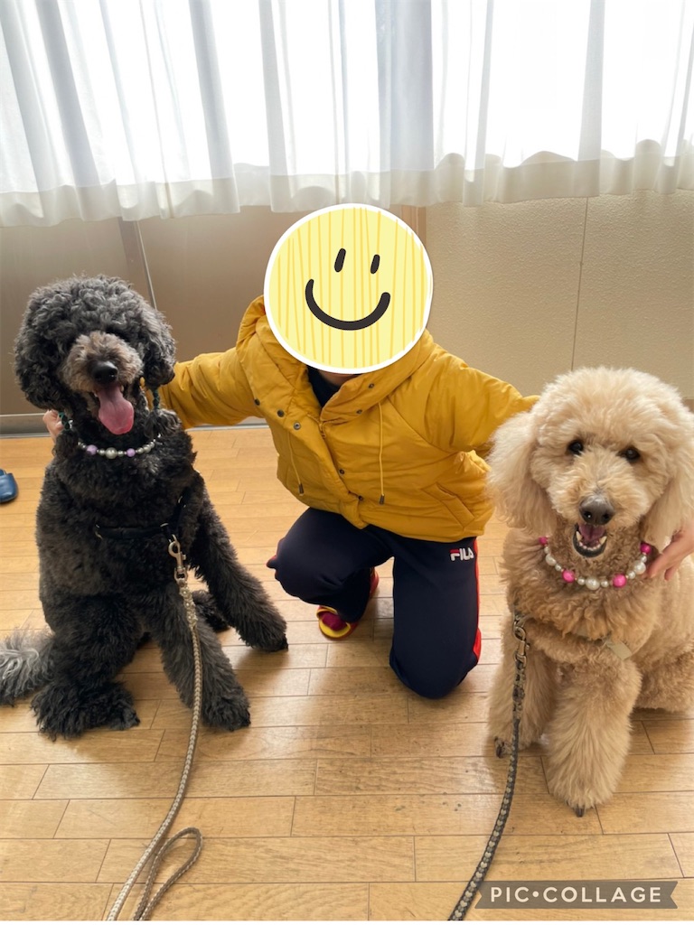 f:id:sakaivet2019:20220121142623j:image
