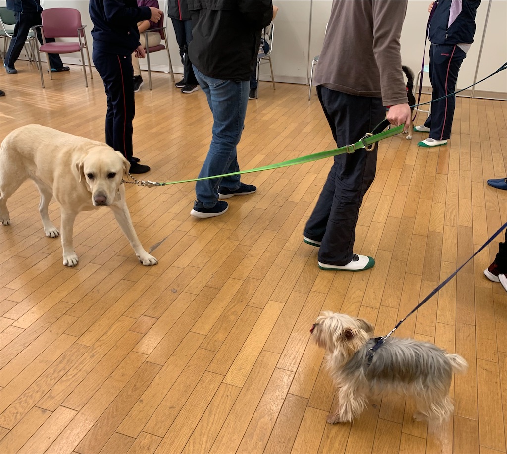 f:id:sakaivet2019:20220121142820j:image