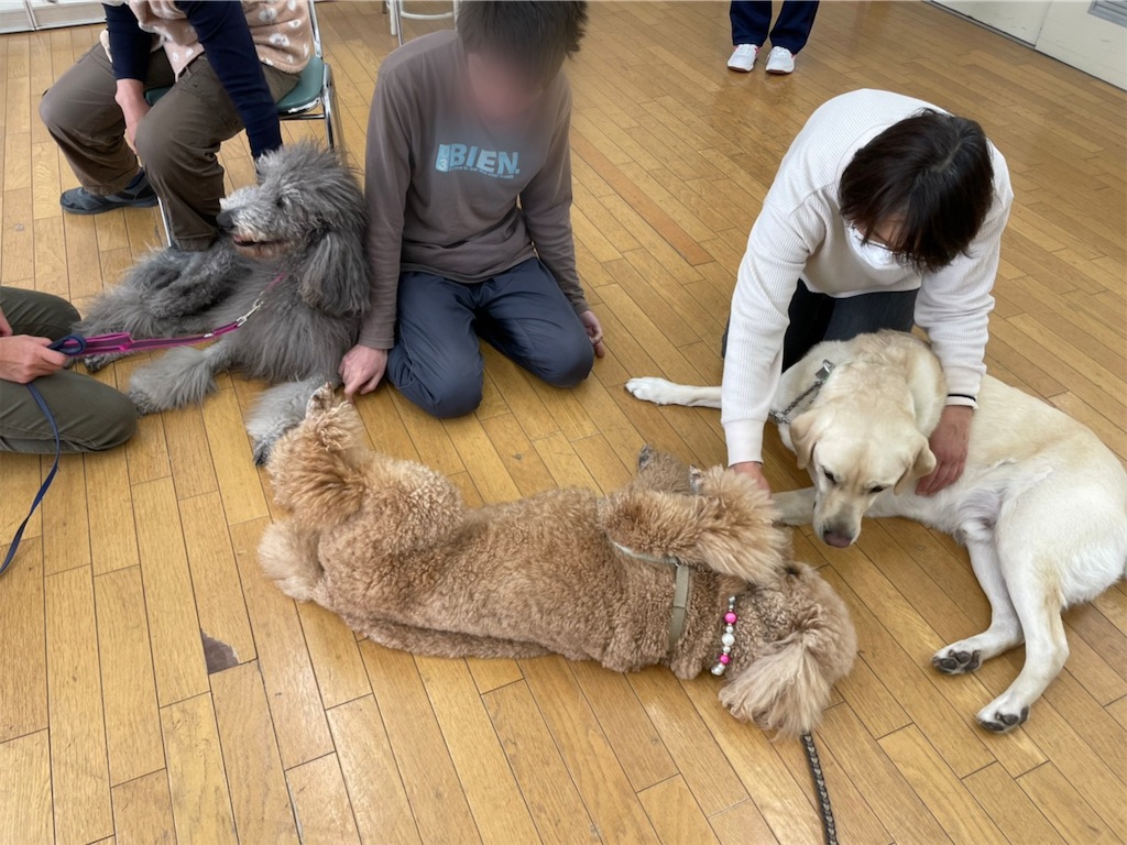 f:id:sakaivet2019:20220121143020j:image