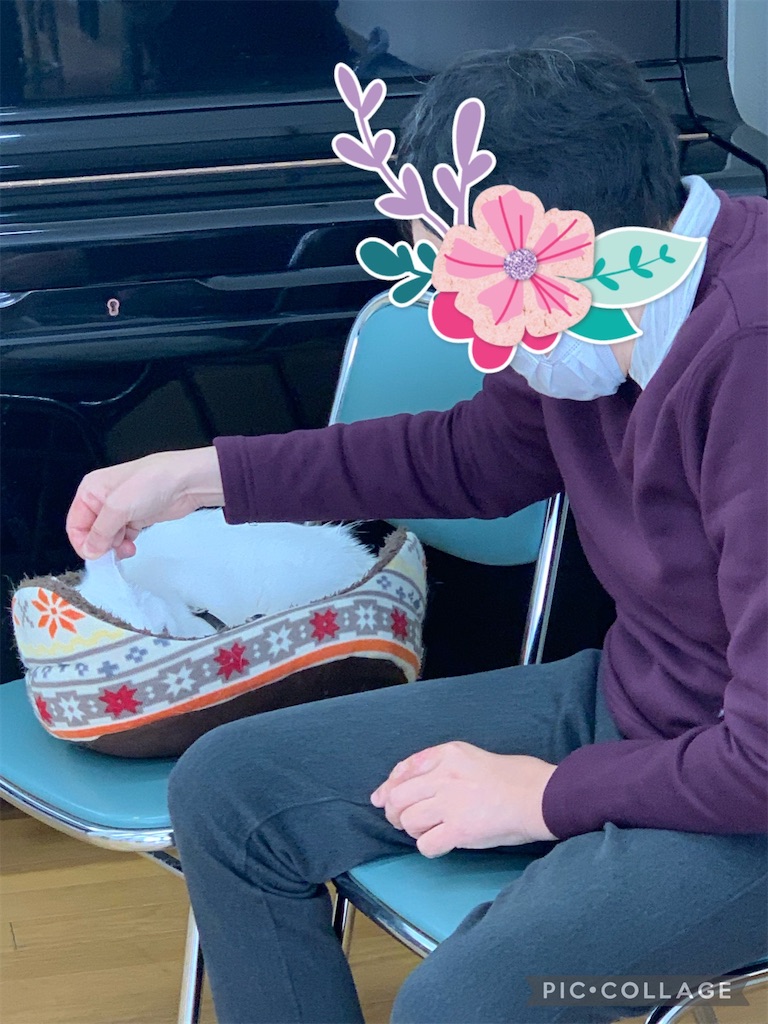f:id:sakaivet2019:20220121143023j:image