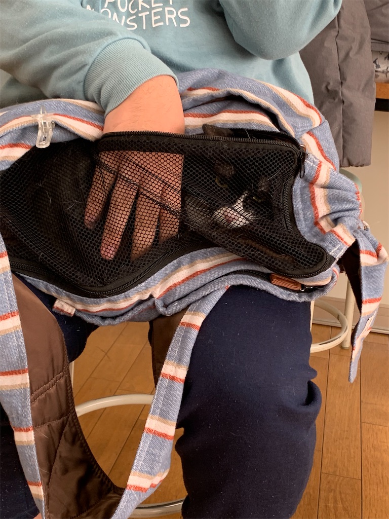 f:id:sakaivet2019:20220121143026j:image