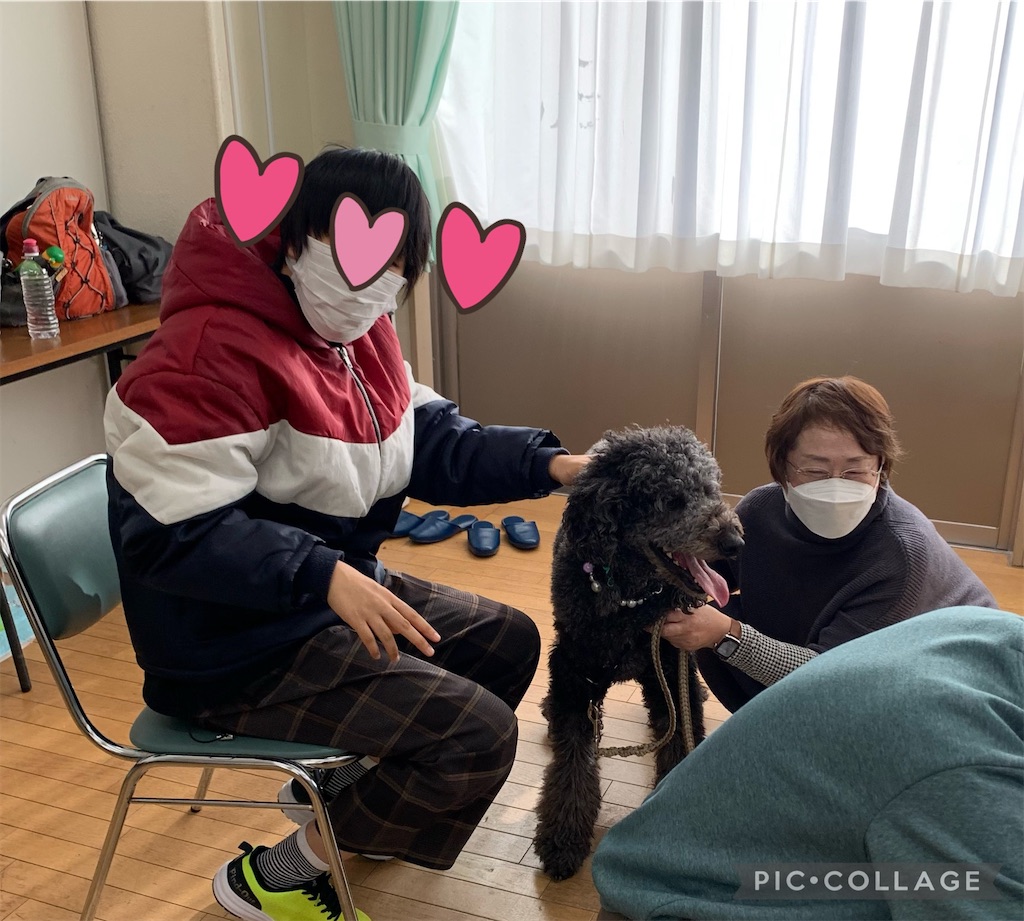 f:id:sakaivet2019:20220121143029j:image