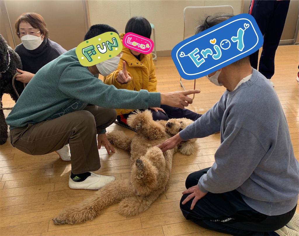 f:id:sakaivet2019:20220121143033j:image