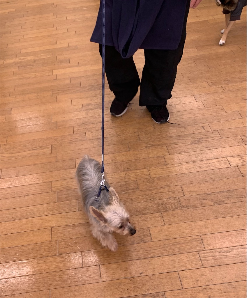 f:id:sakaivet2019:20220211103447j:image f:id:sakaivet2019:20220211103447j:image