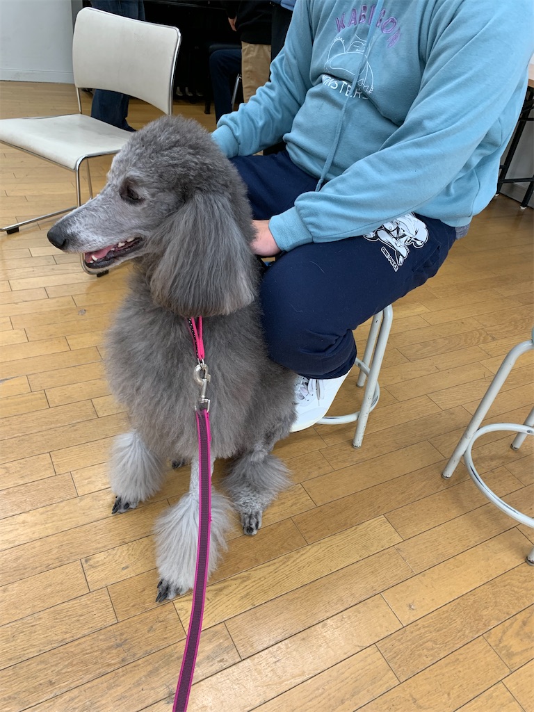 f:id:sakaivet2019:20220211103450j:image f:id:sakaivet2019:20220211103450j:image