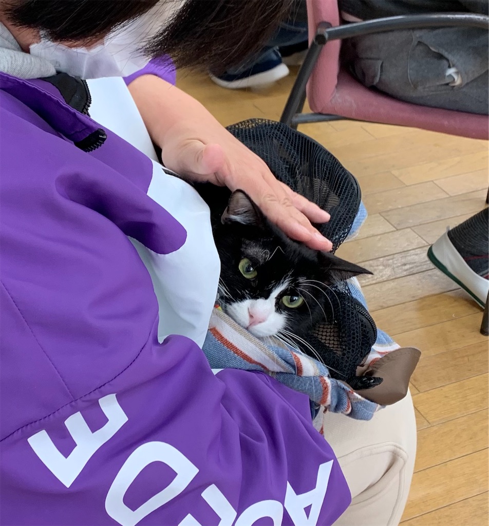 f:id:sakaivet2019:20220211103502j:image f:id:sakaivet2019:20220211103502j:image
