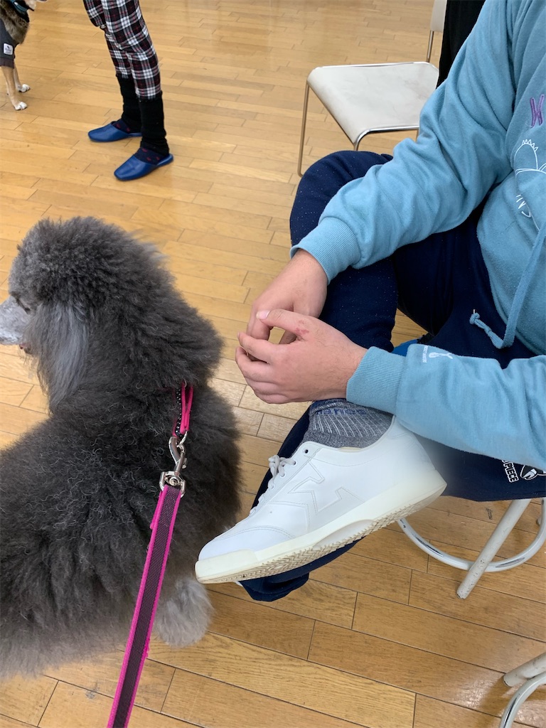 f:id:sakaivet2019:20220211103505j:image f:id:sakaivet2019:20220211103505j:image