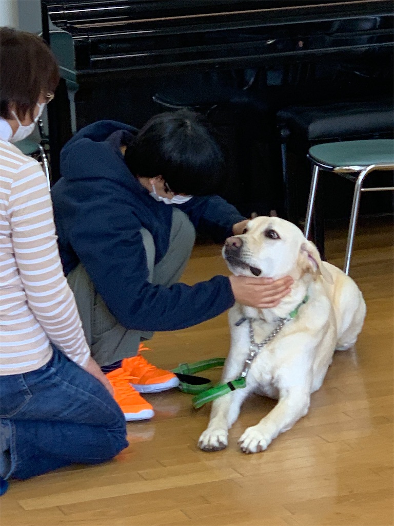 f:id:sakaivet2019:20220319131905j:image f:id:sakaivet2019:20220319131905j:image
