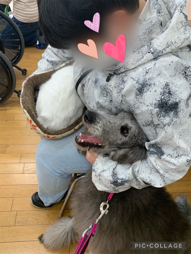 f:id:sakaivet2019:20220319133553j:image f:id:sakaivet2019:20220319133553j:image