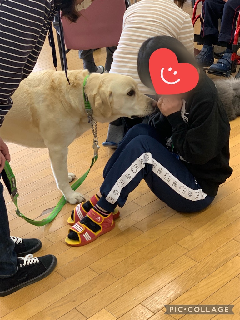 f:id:sakaivet2019:20220319133714j:image f:id:sakaivet2019:20220319133714j:image