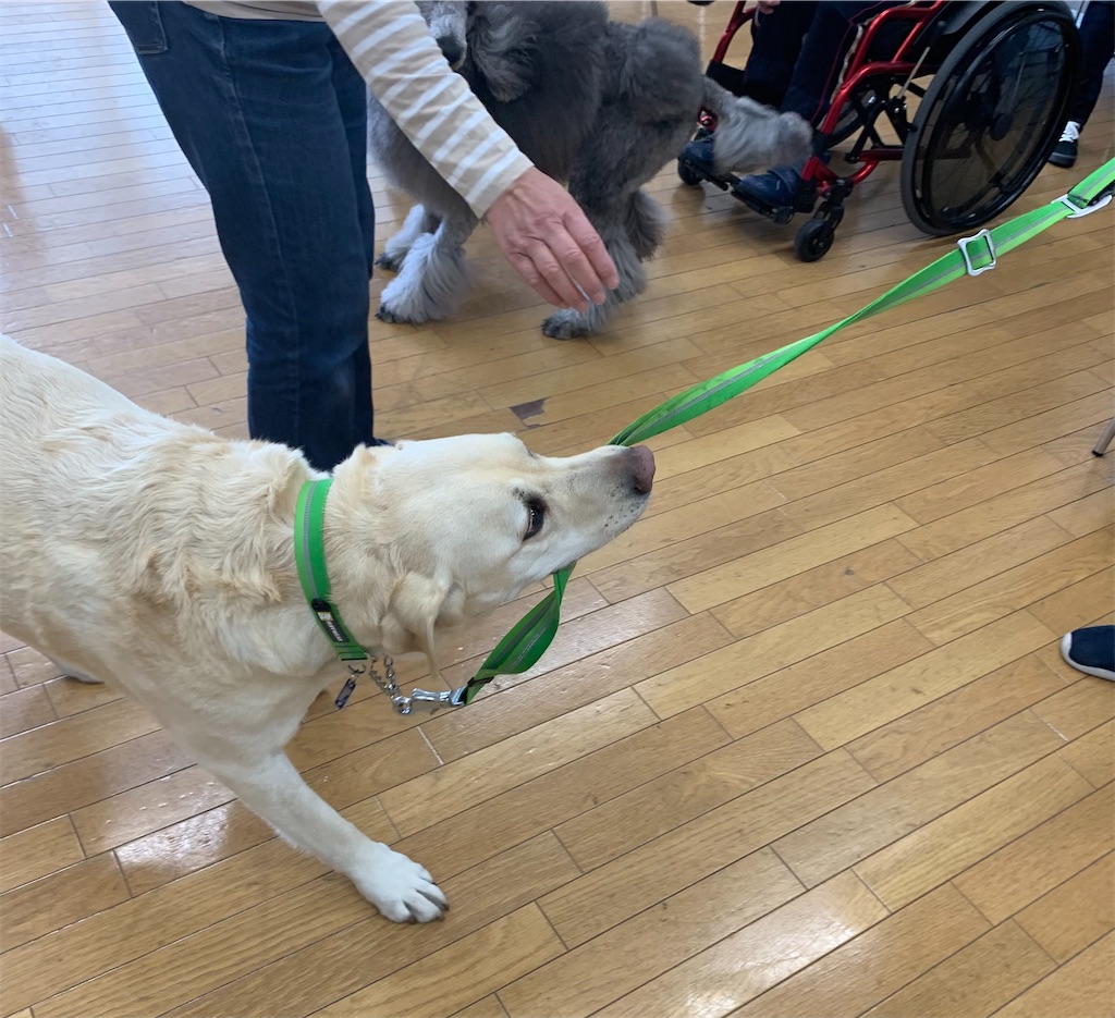 f:id:sakaivet2019:20220319133818j:image f:id:sakaivet2019:20220319133818j:image