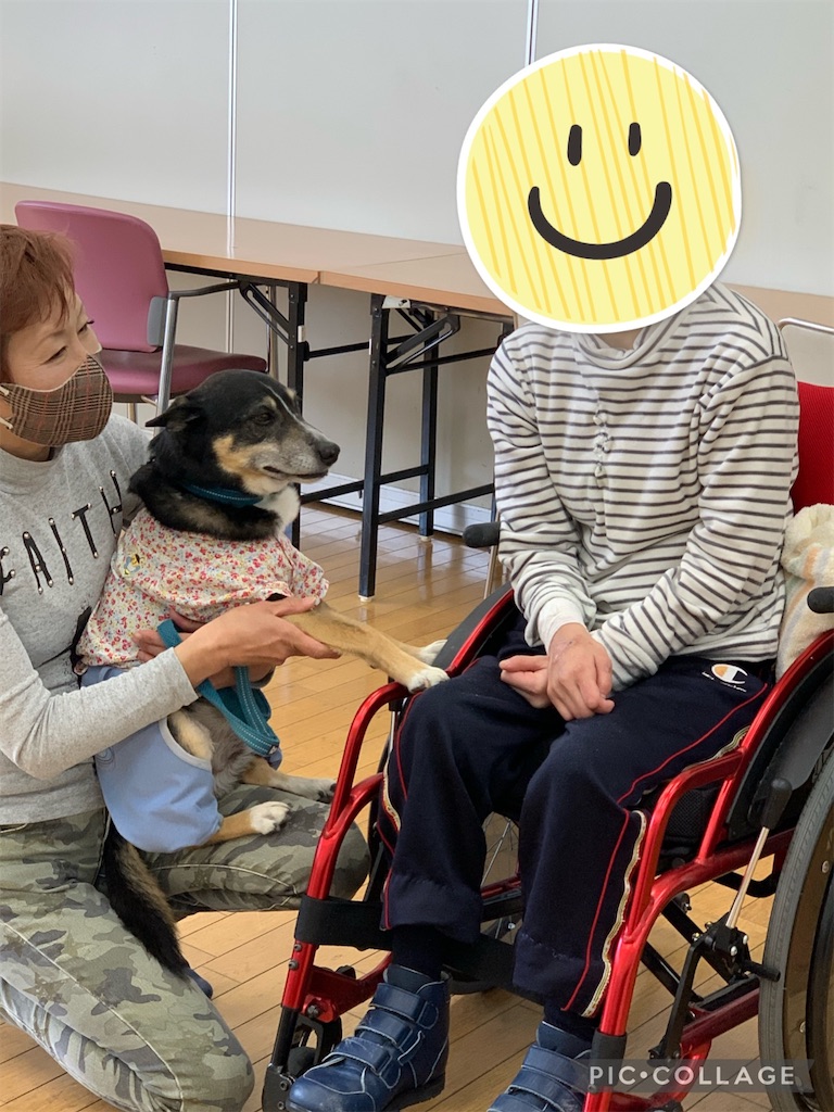 f:id:sakaivet2019:20220319133856j:image f:id:sakaivet2019:20220319133856j:image