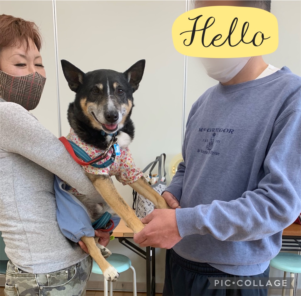 f:id:sakaivet2019:20220319133858j:image f:id:sakaivet2019:20220319133858j:image