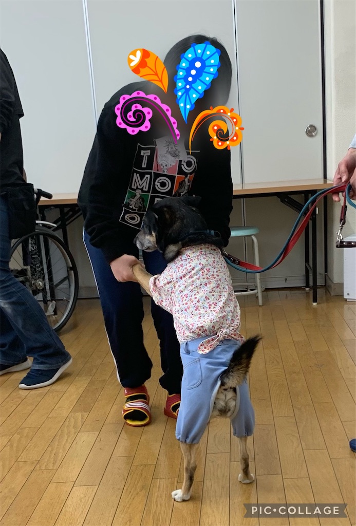 f:id:sakaivet2019:20220319133901j:image f:id:sakaivet2019:20220319133901j:image