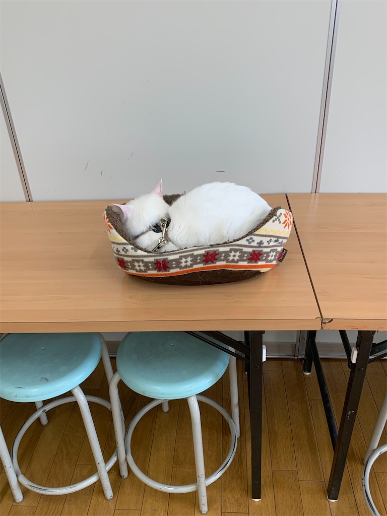 f:id:sakaivet2019:20220319133959j:image f:id:sakaivet2019:20220319133959j:image