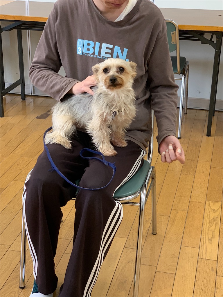 f:id:sakaivet2019:20220319134002j:image f:id:sakaivet2019:20220319134002j:image
