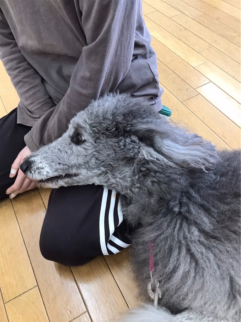 f:id:sakaivet2019:20220319134356j:image f:id:sakaivet2019:20220319134356j:image