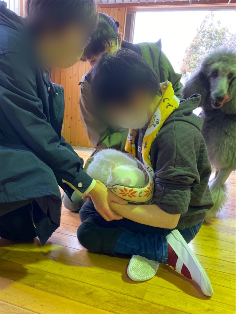 f:id:sakaivet2019:20220519160220j:image f:id:sakaivet2019:20220519160220j:image