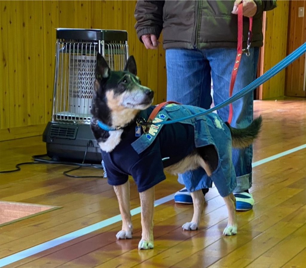 f:id:sakaivet2019:20220519160225j:image f:id:sakaivet2019:20220519160225j:image