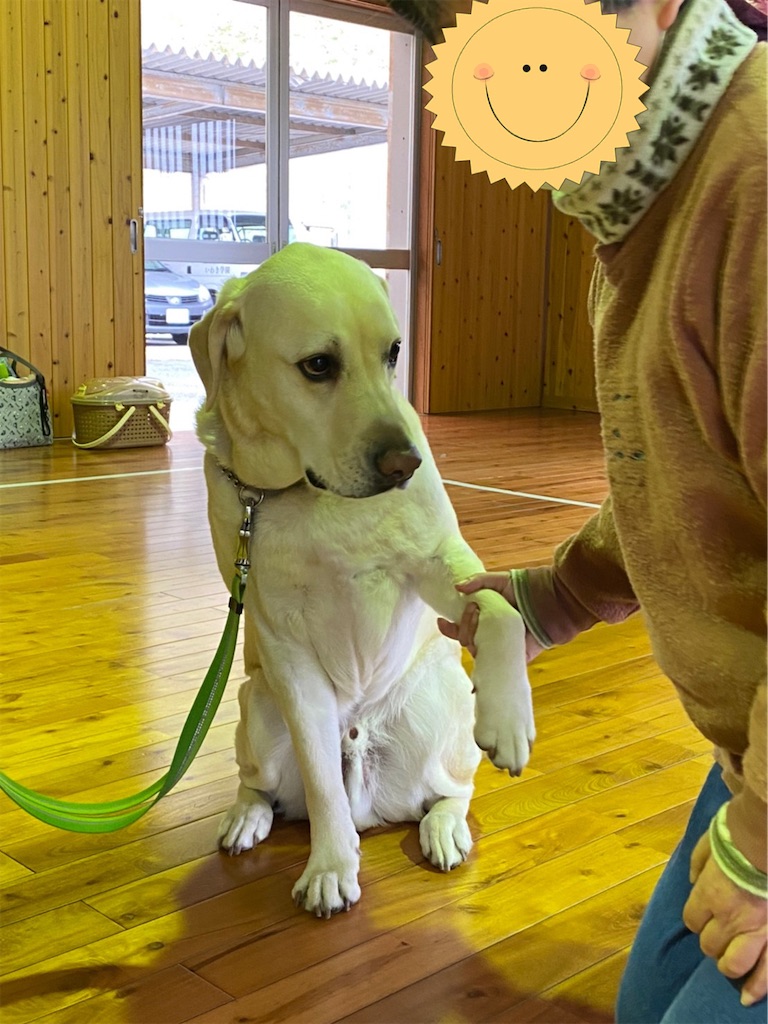 f:id:sakaivet2019:20220519160228j:image f:id:sakaivet2019:20220519160228j:image