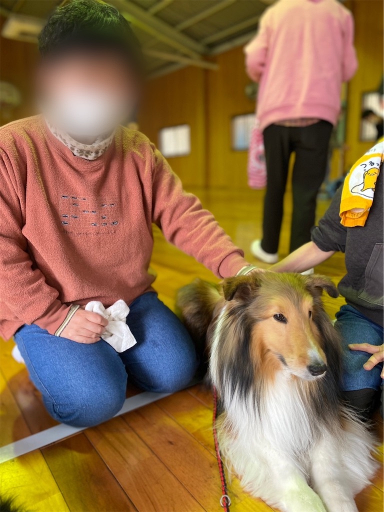 f:id:sakaivet2019:20220519160235j:image f:id:sakaivet2019:20220519160235j:image